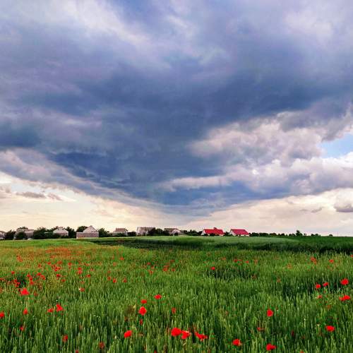 Before the storm