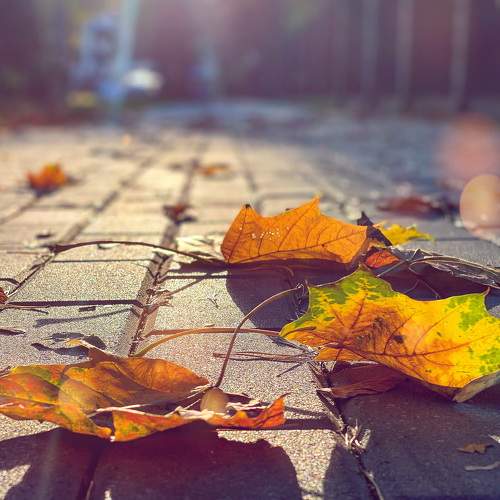 Photo #6497815