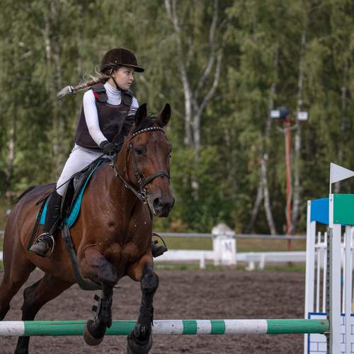Photo #6497837