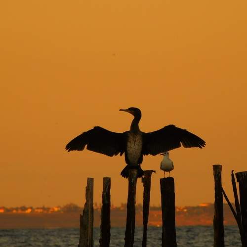 Photo #6497852