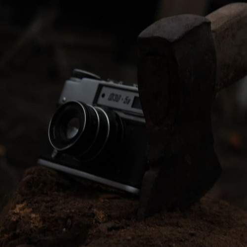 Photo #6497866