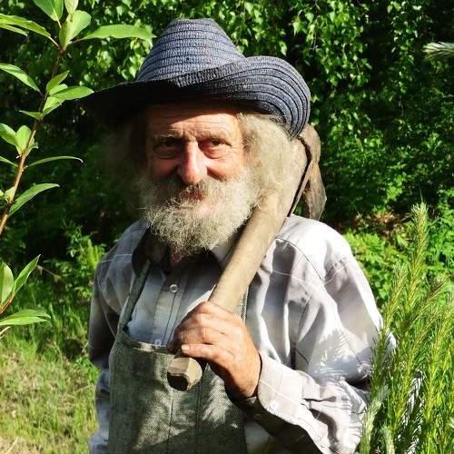 Photo #6498089