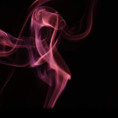 Photo #6498271