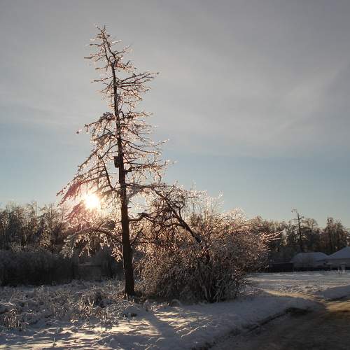 Photo #6498324