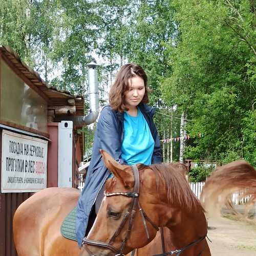 Photo #6498392