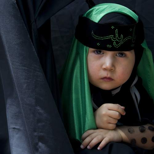 Photo #6498651