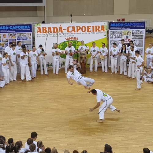 Photo #6498833