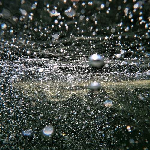 Photo #6499026