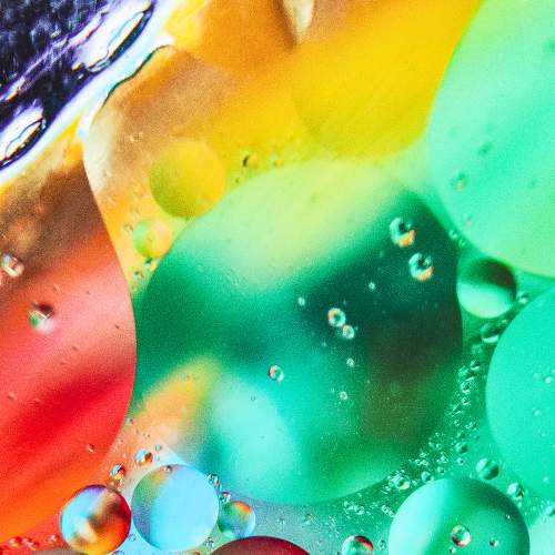 Photo #6499120