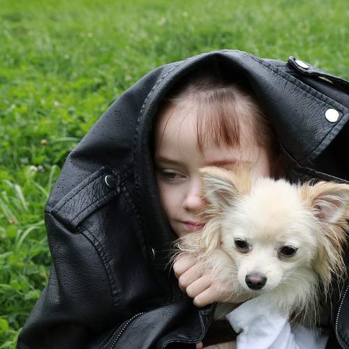 Photo #6499170