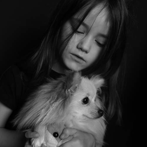 Photo #6499181