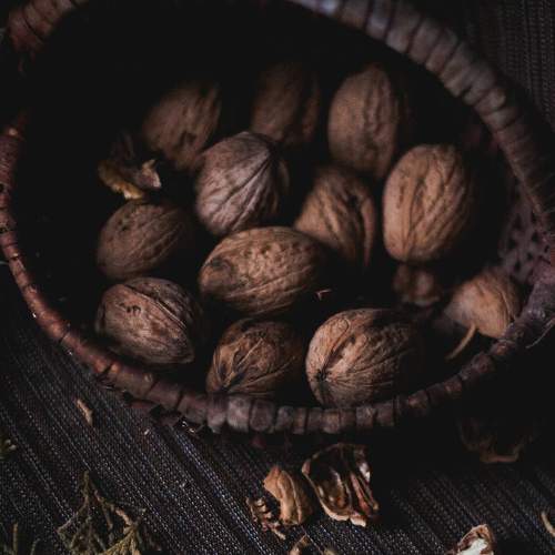 Photo #6499697