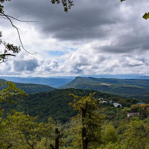 Photo #6499764