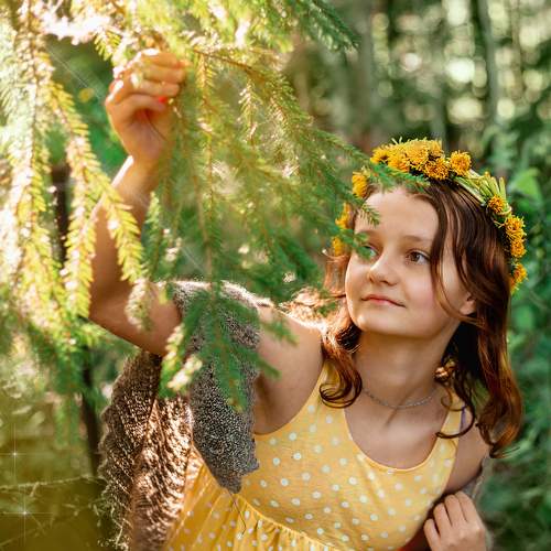 Photo #6499855