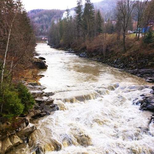 Photo #6499958