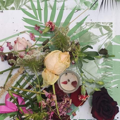 Photo #6500032