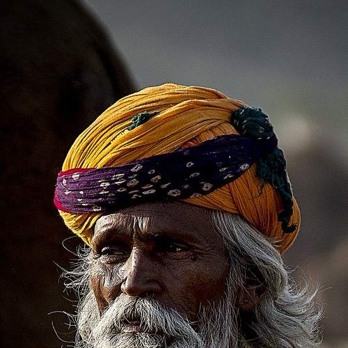 Photo #6500116