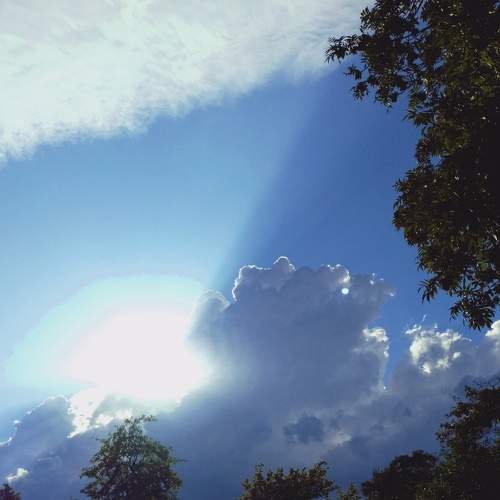 Photo #6500159