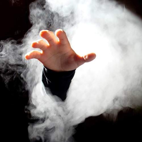 Photo #6500201