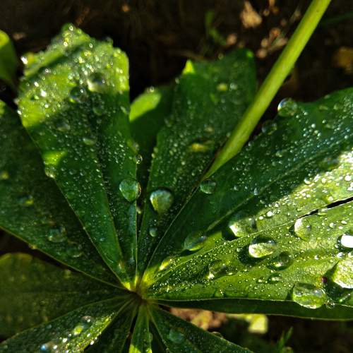 Photo #6500571