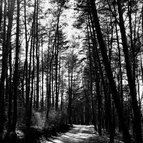 Photo #6500578