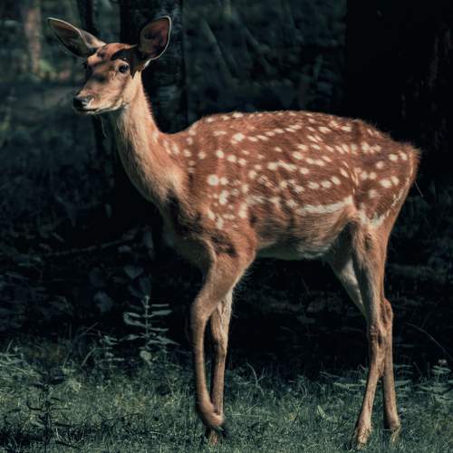 Photo #6500637