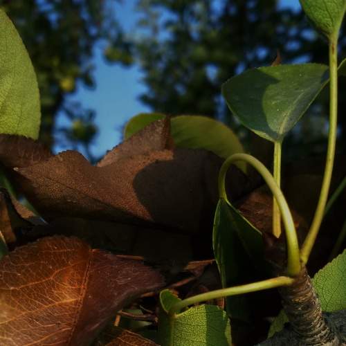 Photo #6500720