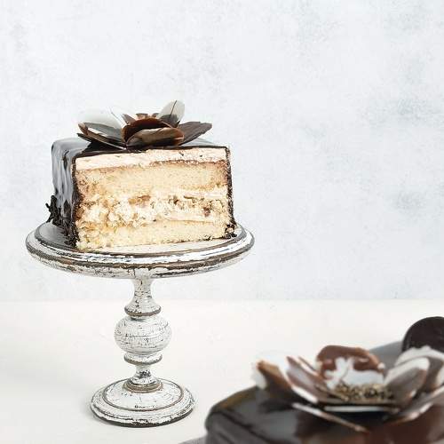 Photo #6500774