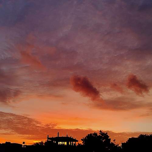 Photo #6500802