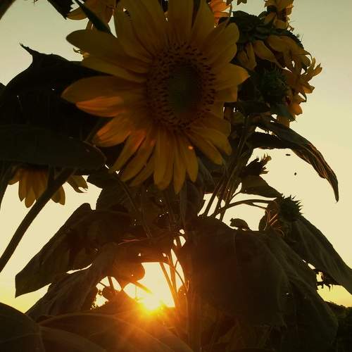 Photo #6500964