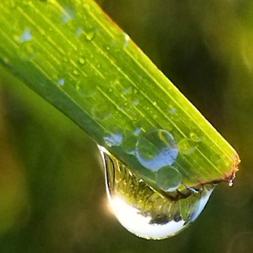 Photo #6501390