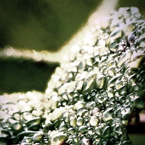 Photo #6501397