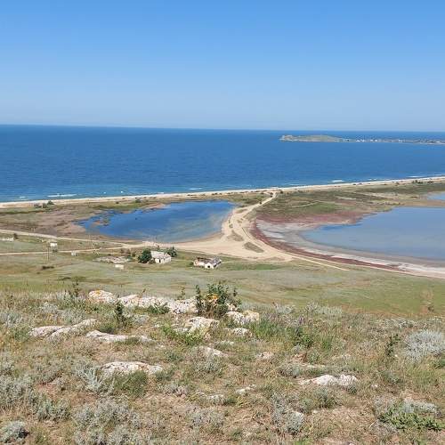 Photo #6501688