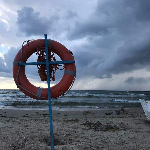 Photo #6501792