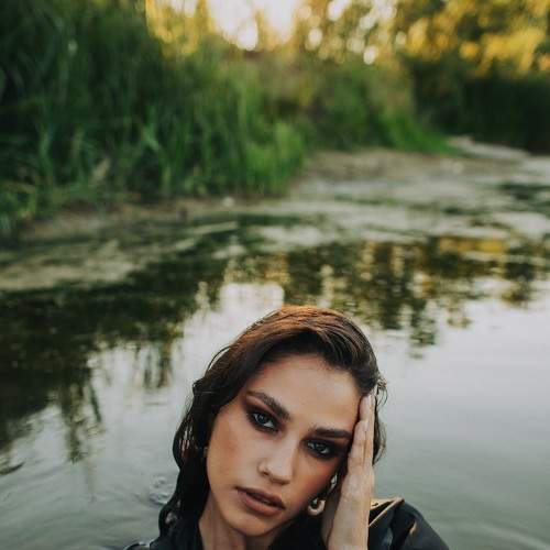 Photo #6501830