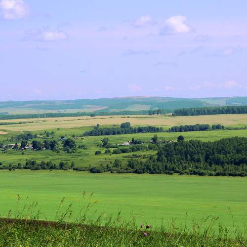 Photo #6502156
