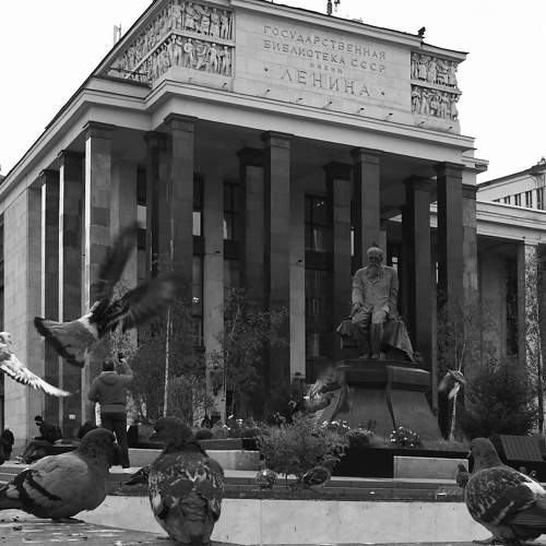 Библиотека