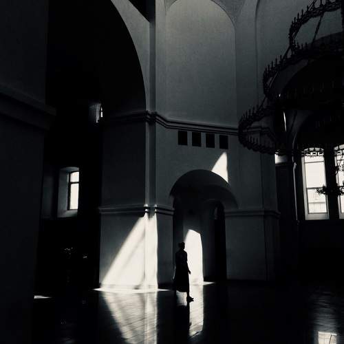 Photo #6502486