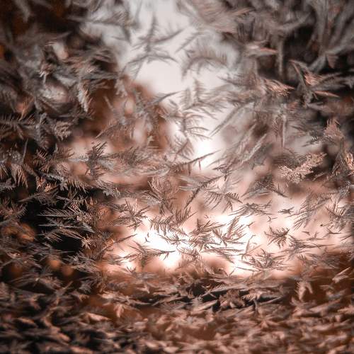 Photo #6502781