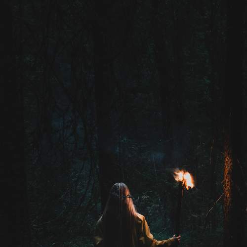 Photo #6502877