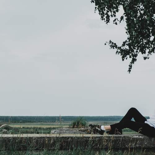 Photo #6502886