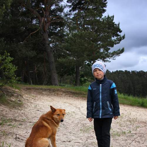 Photo #6503303