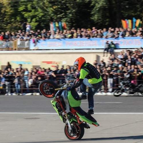 Photo #6503494