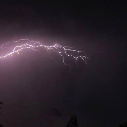 Photo #6504151