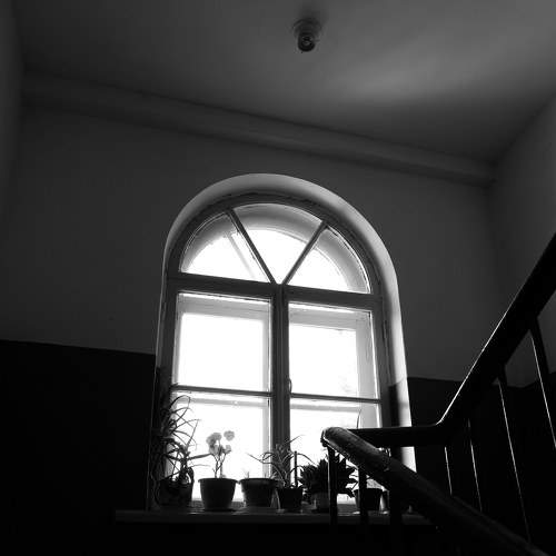 Photo #6504164