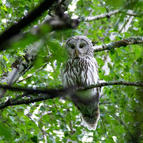 Photo #6504232