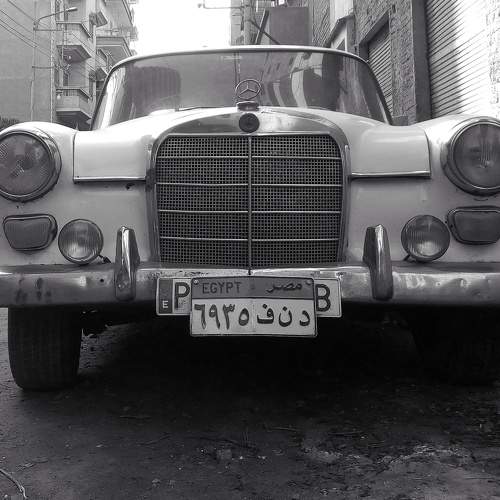 Photo #6504454