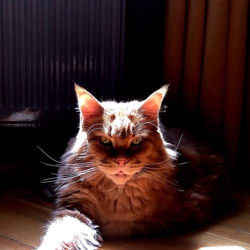 Photo #6504679