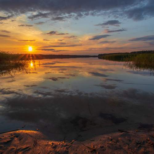 Photo #6504838