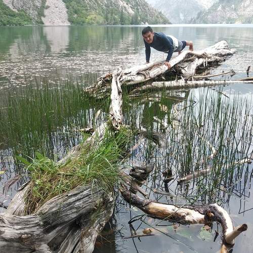 Photo #6504986